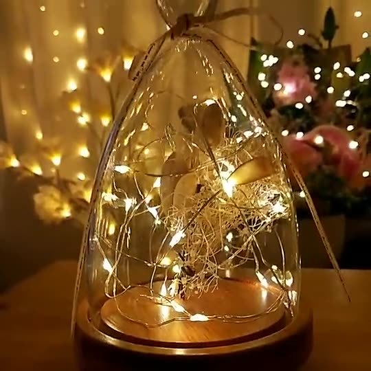 1 Meter Warm White 10 LEDs String Light Merry Christmas Decorations - Image 3