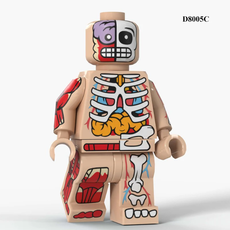 D8005A-F Human Anatomy Series Minifigures - Image 4