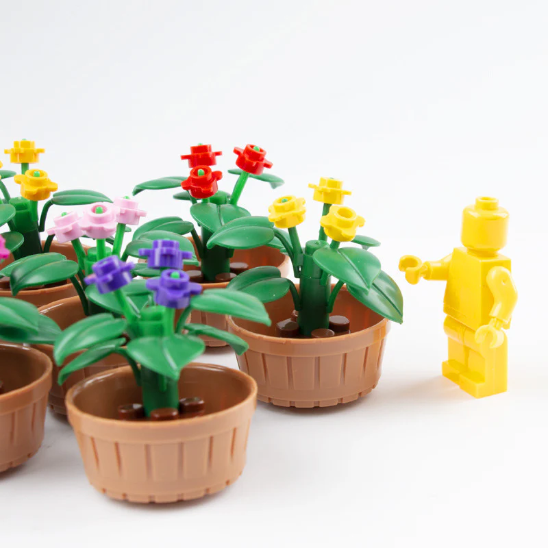flowers plants bonsai - Image 3